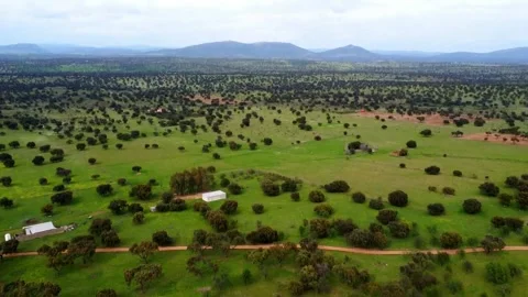 Panoramic of a green valley Stock Footage 268429343