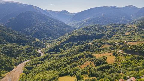 Panoramic high aerial view of dense green pine forest mountains with dry ri.. Stockfoto's