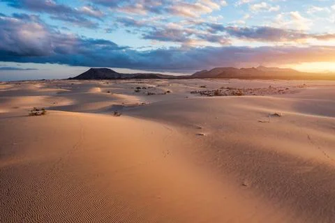 Panoramic high angle aerial drone view of Corralejo National Park (Parque N.. Stock Photos