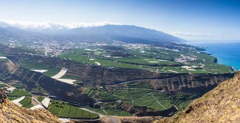 Panoramic high-angle view of banana plantations and coastal town in Los Lla.. Stock Photos