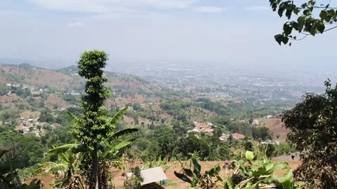 Panoramic hill landscape view with lush green nature Stock Footage 346773216