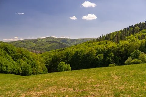 Panoramic horizontal view of a beautiful summer mountain landscape with a g.. Stock Photos