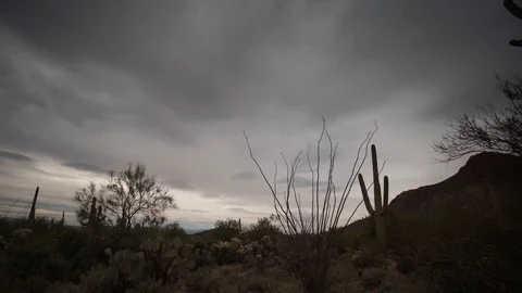 Panoramic Hyperlapse of clouds and tall Saguaro catus in desert of Arizona Stock Footage 102386150