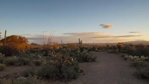 Panoramic Hyperlapse of desert trial at Sunset motion time-lapse Stock Footage 102387230
