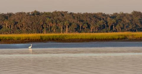 Panoramic image of calm river Stock Photos