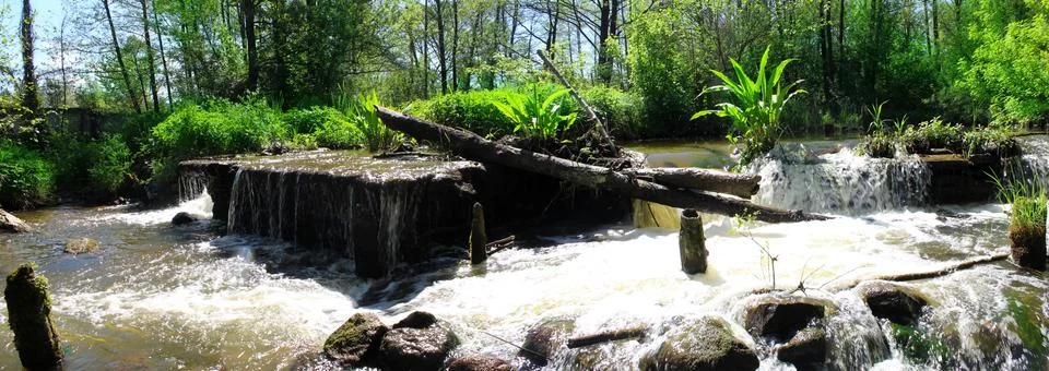 Panoramic image of a forest waterfall in the rocks Stock Photos