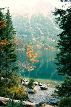 Panoramic image of the lake Stock Photos