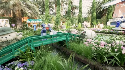 Panoramic image of large conservation area at Marina Reservoir Bay Gardens Vídeos de archivo 206058057