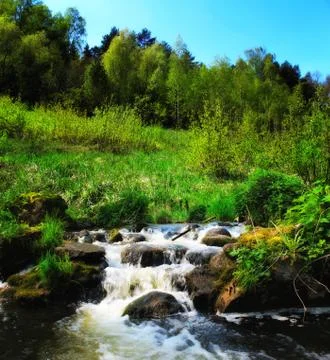 Panoramic image of a mountain river. Beautiful landscape Stock Photos