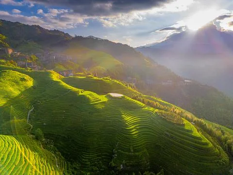 Panoramic image of the rice terraces going down the mountain at Longji Rice T Stock Photos