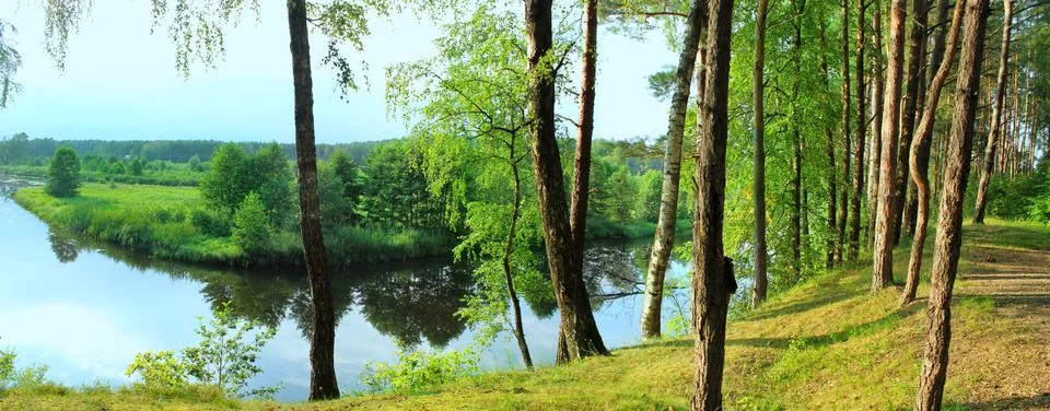 Panoramic image of a river in a forest glade. Stock Photos