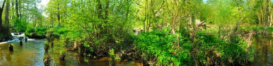 Panoramic image of the river in the summer. Stock Photos