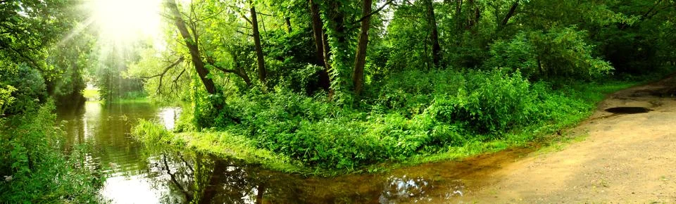 Panoramic image of the river in the summer. Stock Photos