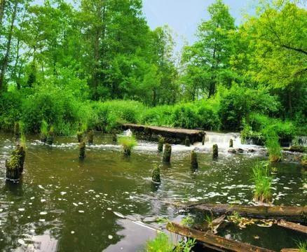 Panoramic image of a river with a waterfall in the summer. Stock Photos