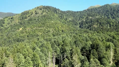 Panoramic lake and mountains Stock Footage 238672774