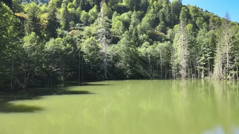 Panoramic lake and mountains Stock Footage 238672871