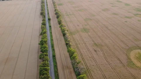 Panoramic landscape agricultural wheat fields, industrial fields, forest, city Stock Footage 329503090