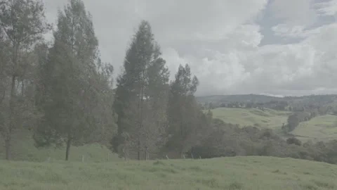 Panoramic landscape with hills, trees and bushes 動画素材 220521922