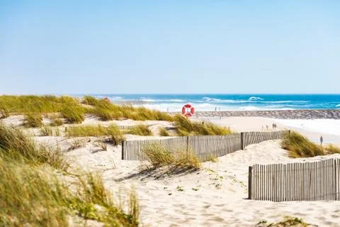 Panoramic landscape ocean, sandy wild beach, storm blue waves, green high gra Stock Photos