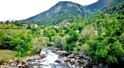 The panoramic landscape Stock Photos