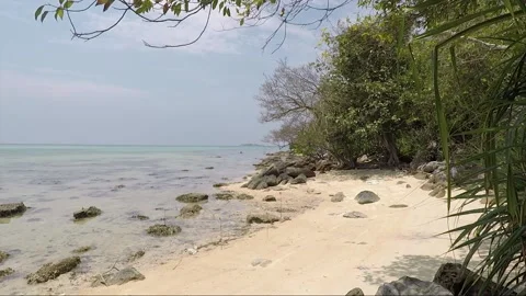 Panoramic landscape, sea beach at low tide, horizon view, Karimunjawa, Indonesia Stock Footage 161151990