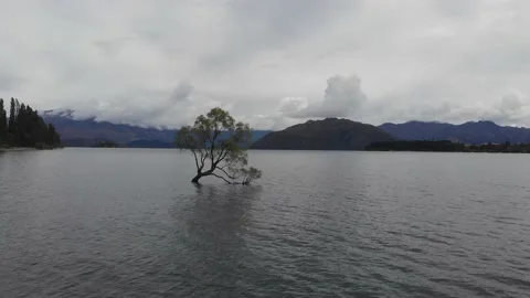 Panoramic Landscape of sunset over Wanaka Tree, New Zealand Stockbeeldmateriaal 138664284