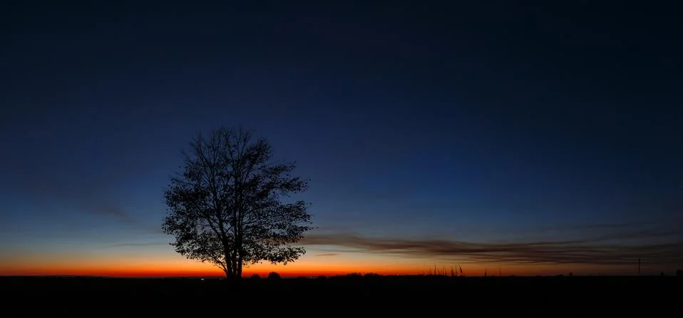 Panoramic landscape with a tree on the background of a cloudless sky during s Foto stock