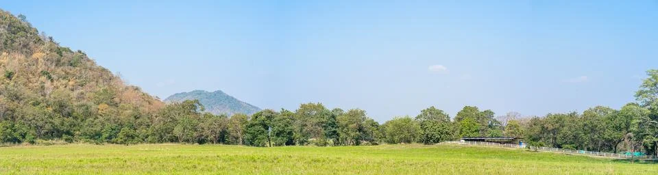 Panoramic landscape view of green fields Foto stock