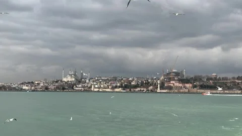 Panoramic landscape view soaring seagulls over the iconic skyline Stock Footage 340154892