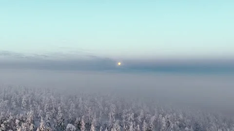 Panoramic landscape of a wintry trees, moon piercing through heavy mist in Stock Footage 340335476