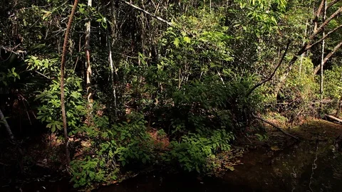Panoramic from the left to the right of a landscape. Stock Footage 99800558