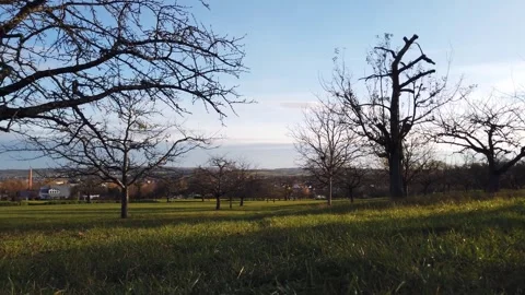 Panoramic Low-Angle View of a Rural Dirt Path and Bare Trees at Sunset Video stock 346845696