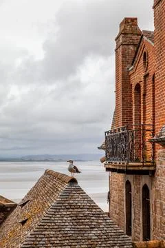 Panoramic low tide view from the roofs of the houses of the fortified villa.. Stock Photos