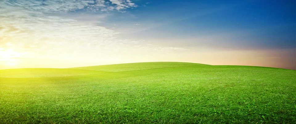 Panoramic meadow nature background Foto stock