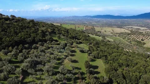 Panoramic Mediterranean landscape with groves and farmland Stock Footage 343992900