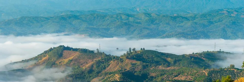 Panoramic Mist Mountain Foto stock