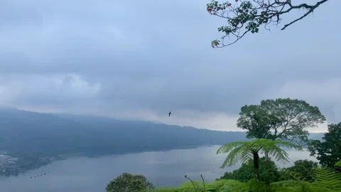 Panoramic Misty Lake Buyan Landscape with Multiple Birds Flying Stock Footage 336249525
