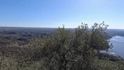 Panoramic of the Monfrague countryside Stock Footage 271064507
