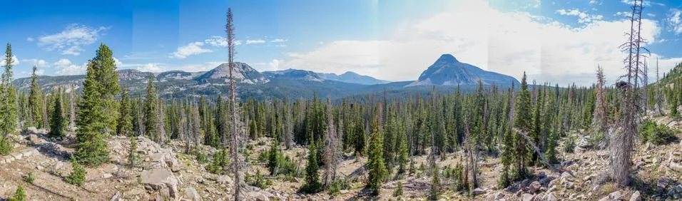Panoramic of Mountain Forest Stock Photos
