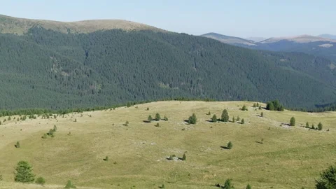 Panoramic mountain landscape with green valley and pine forest 動画素材 337562830