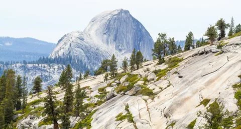 Panoramic Mountain Landscape with Pine Trees and Scenic Sky Foto stock