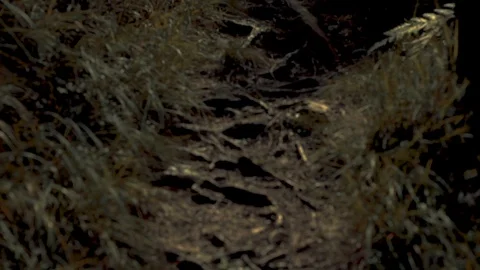 Panoramic mountain path Stock Footage 92018501