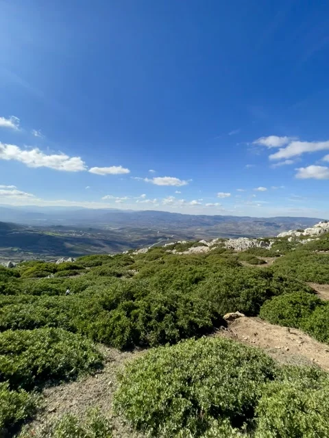 Panoramic mountain road view Stock Footage 325767779