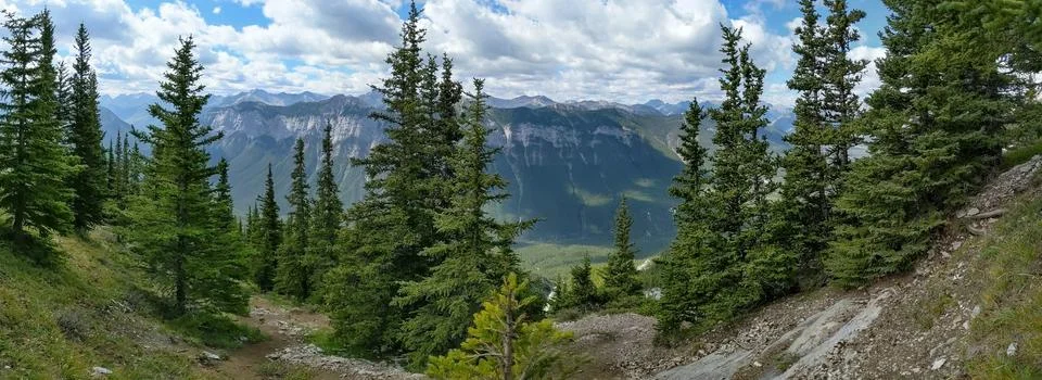 Panoramic Mountain Trail Through Pine Forest &amp; Distant Peaks Stock Photos