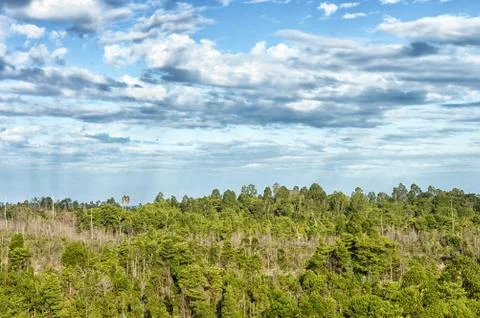 Panoramic mountain tropical forests Stock Photos