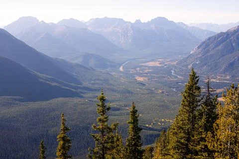 Panoramic mountain valley with evergreen forest in the Canadian Rockies. Stock Photos
