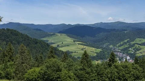 Panoramic Mountain Valley with Forests and Rural Village in Summer Photos