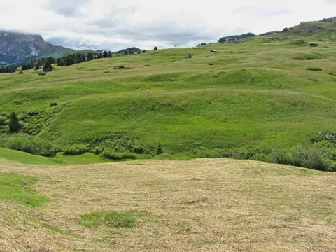 Panoramic mountain view . Alpe di Siusi, Italy Stock Photos