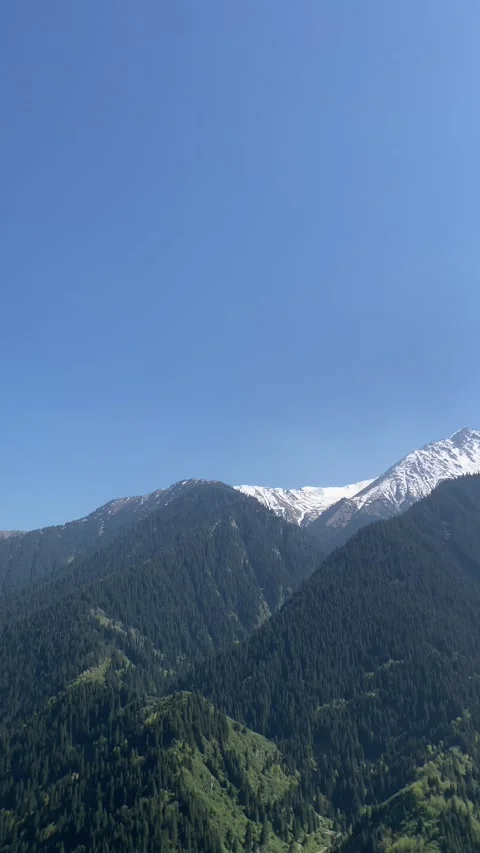 A panoramic mountain view features evergreen forest and distant snowy peaks bene 스톡 동영상 338000611
