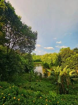 Panoramic Mountain View Overlooking Lush Green Hills and Nature Stock Photos